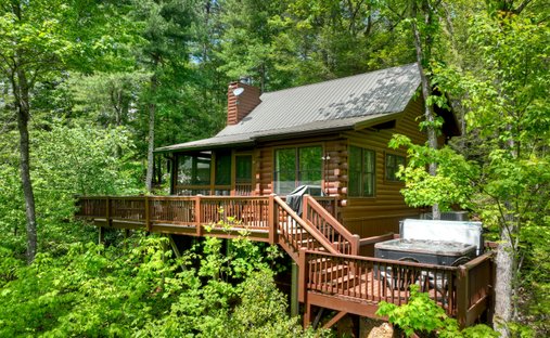Maison à Cherry Log, Géorgie, États-Unis 1