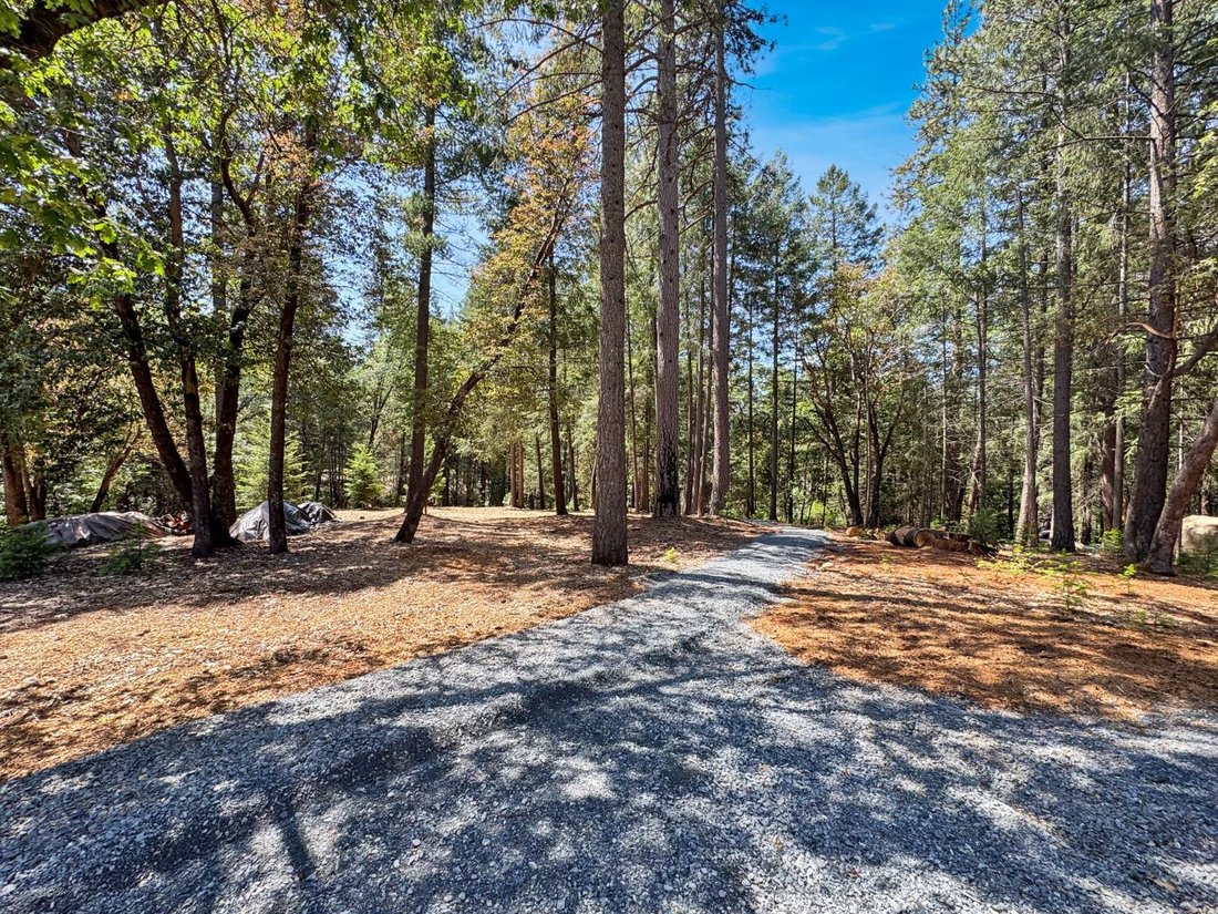 House in Foresthill, California, United States 3 - 17810925