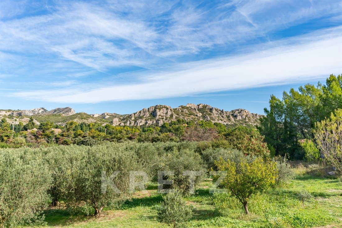 Country House in Saint-Rémy-de-Provence, Provence-Alpes-Côte d'Azur, France 2 - 16543469