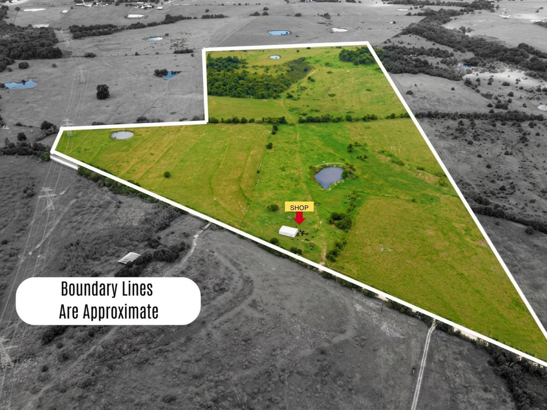 Land in Blooming Grove, Texas, United States 1 - 16121343