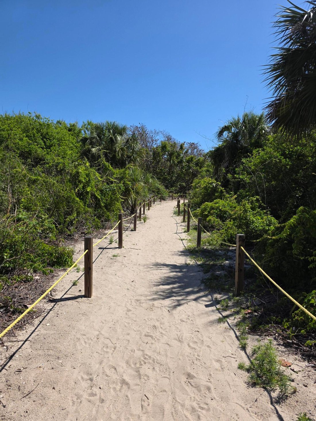 Terrain à Fort Pierce, Floride, États-Unis 4 - 17814266