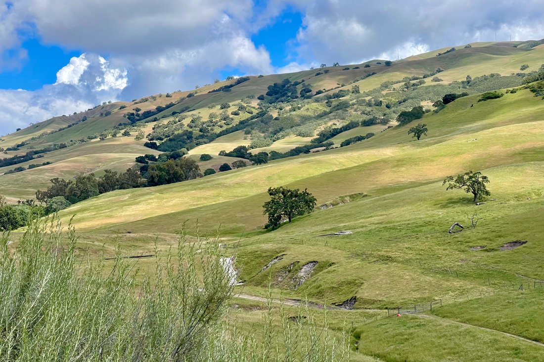 House in Salinas, California, United States 4 - 17810431