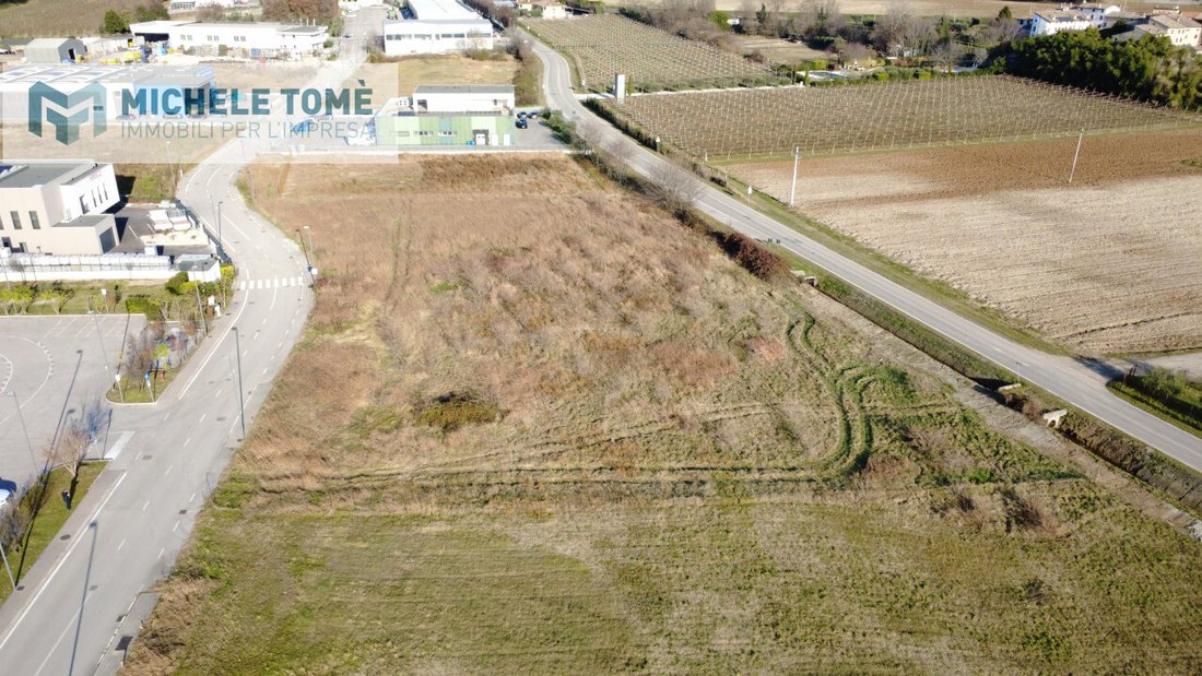 Land in Bardolino, Veneto, Italy 2 - 17814561