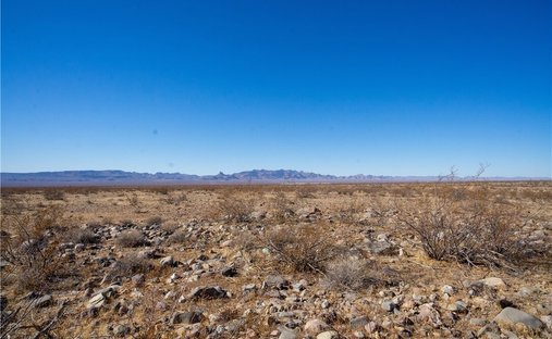 Farm Ranch in Golden Valley, Arizona, United States 1