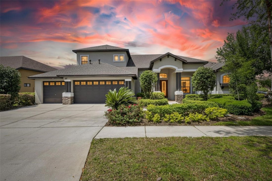 House in Riverview, Florida, United States 1 - 17183292