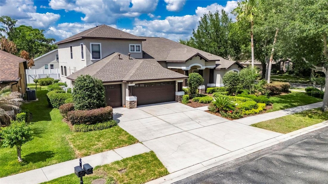House in Riverview, Florida, United States 5 - 17183292