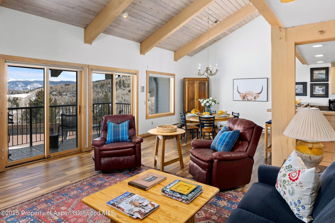 Condo in Snowmass Village, Colorado, United States 1 - 17811145