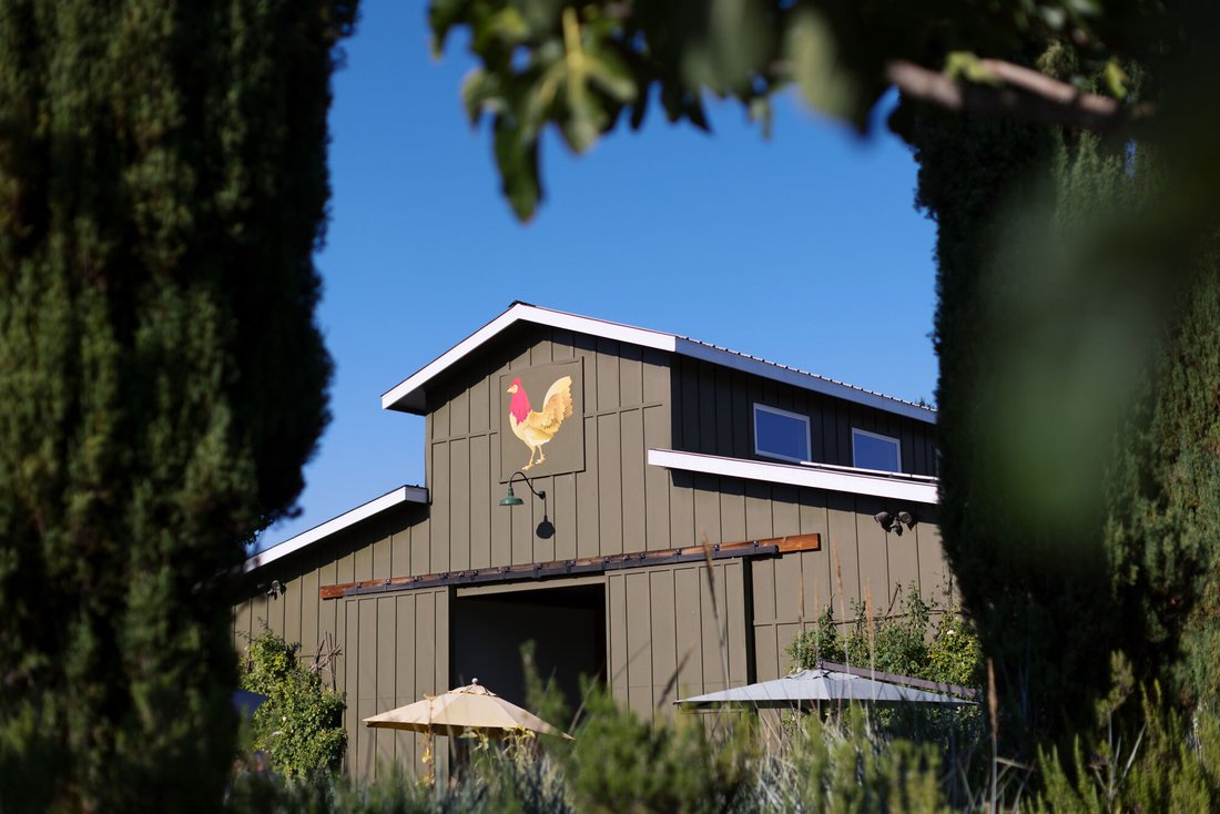 Farm Ranch in Healdsburg, California, United States 5 - 17821670