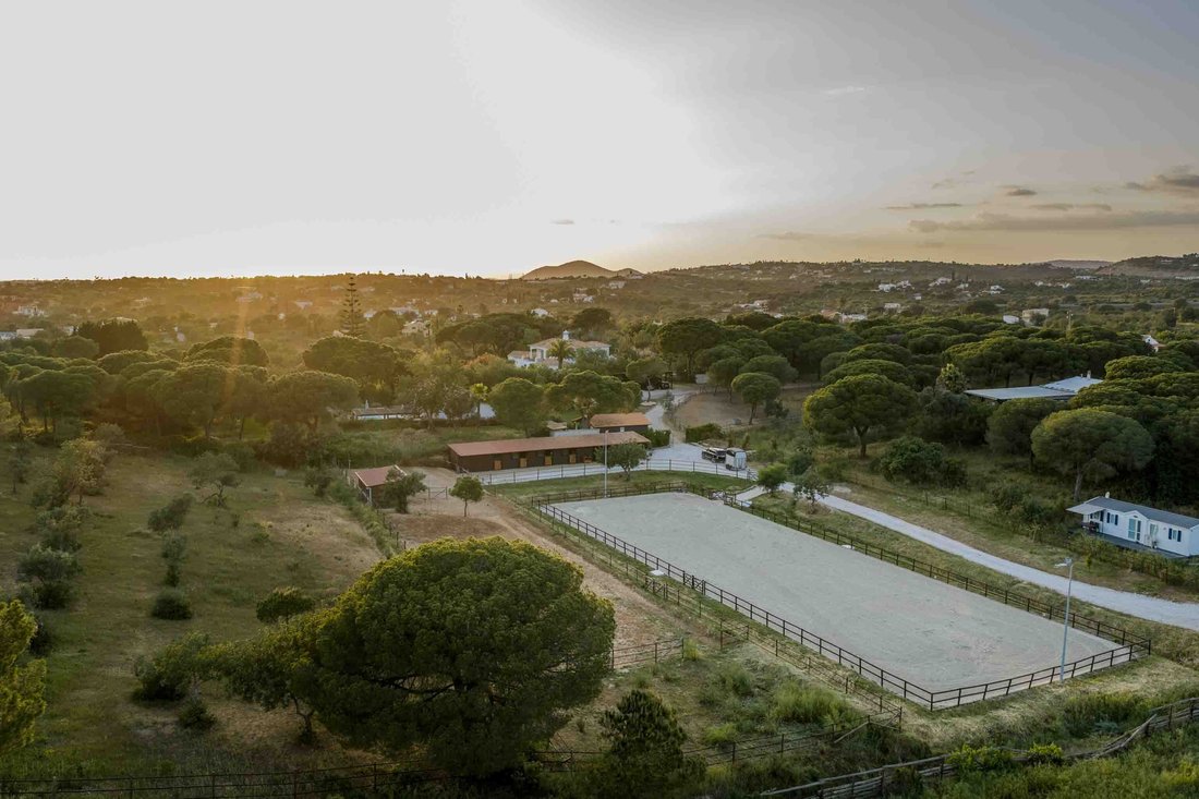 Villa in Almancil, Algarve, Portugal 5 - 17815850