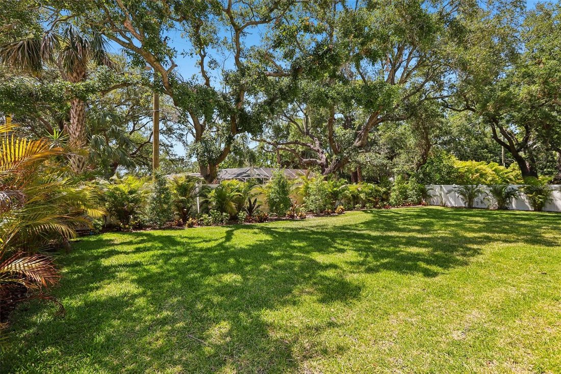 House in Tampa, Florida, United States 5 - 17828389