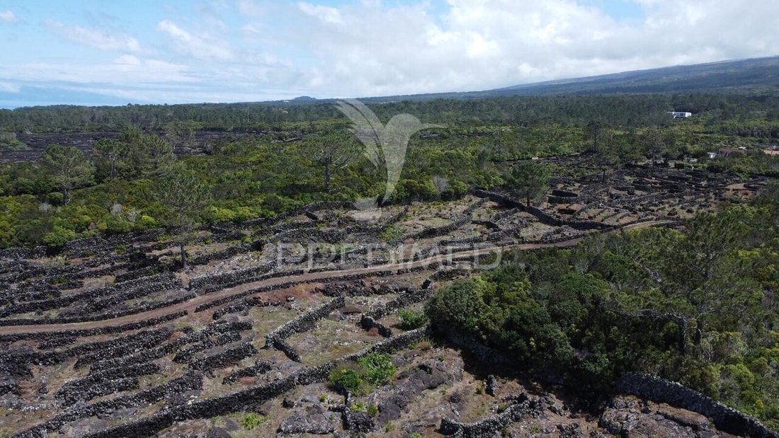 Land in Bandeiras, Azores, Portugal 2 - 17817699