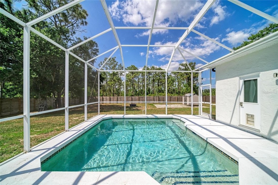 House in Myakka City, Florida, United States 5 - 17827390