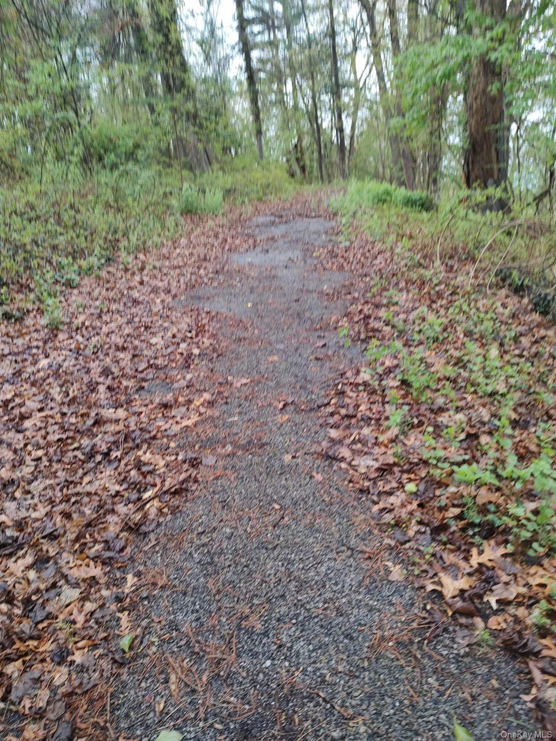 Land in Scarsdale, New York, United States 2 - 17829004