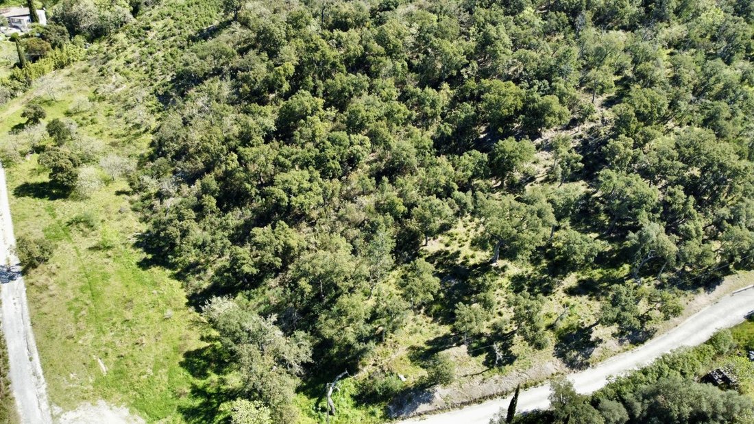 Land in Grimaud, Provence-Alpes-Côte d'Azur, France 2 - 17818912