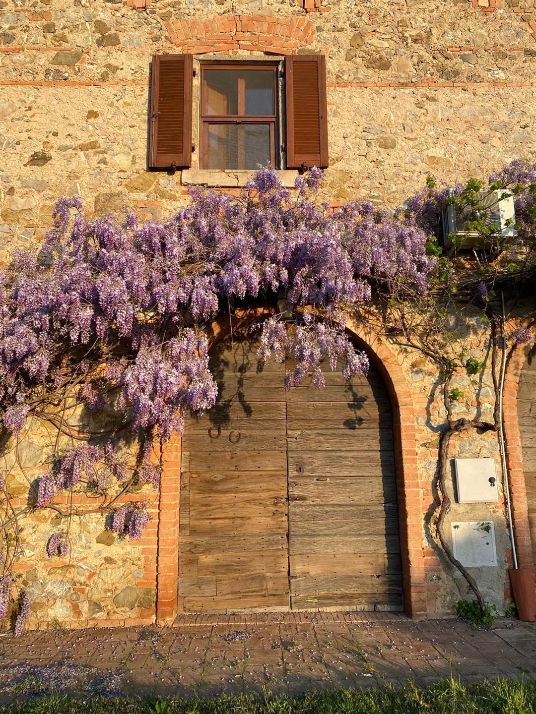 Gavorrano, Tuscany, Italy 5 - 17834167