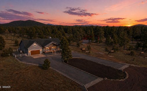 House in White Mountain Lake, Arizona, United States 1