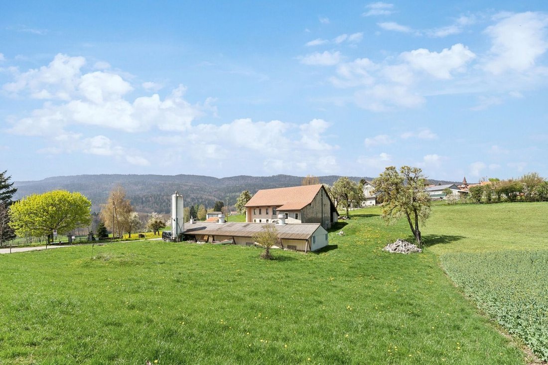Farm Ranch in Longirod, Waadt, Schweiz 3 - 14791360
