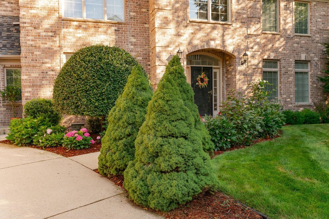 House in Rochester, Minnesota, United States 4 - 17818311