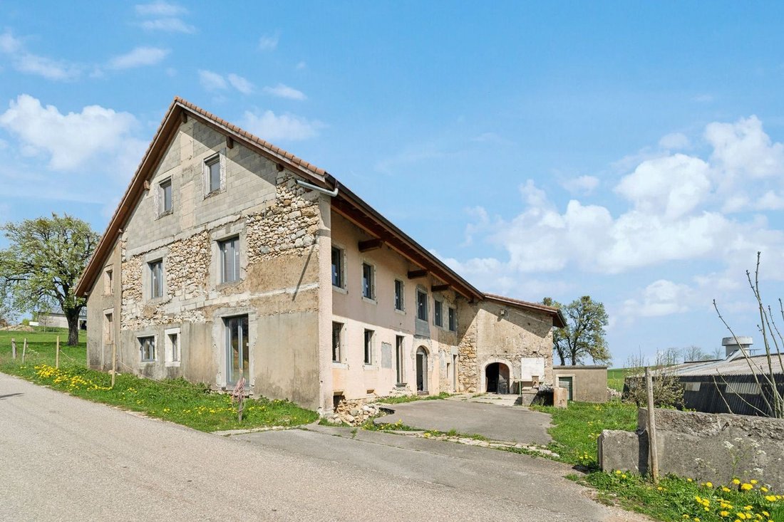 Farm Ranch in Longirod, Waadt, Schweiz 4 - 14791360
