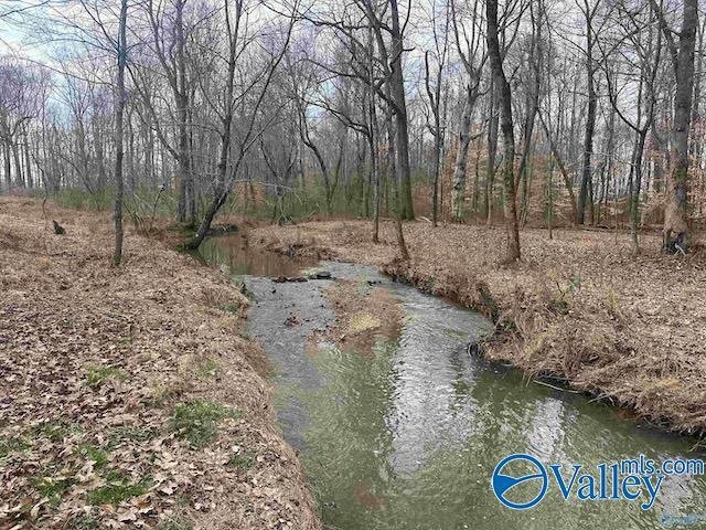 Farm Ranch in Hazel Green, Alabama, United States 2 - 17817184