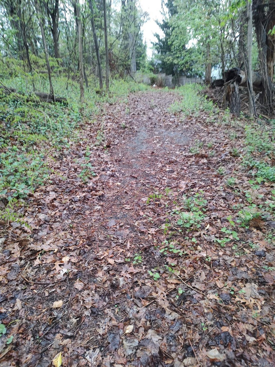 Land in Scarsdale, New York, United States 5 - 17829004