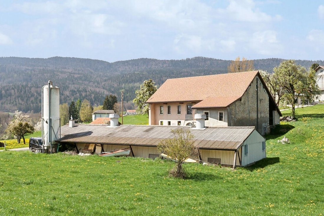 Farm Ranch in Longirod, Waadt, Schweiz 2 - 14791360