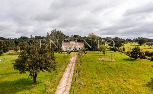 Finca a Crato e Martires, Flor da Rosa e Vale do Peso, Distretto di Portalegre, Portogallo 1
