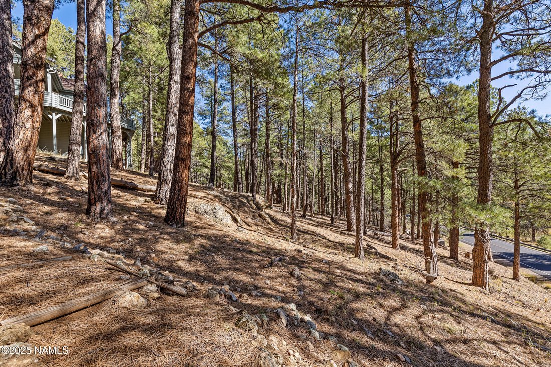 House in Flagstaff, Arizona, United States 5 - 17816129