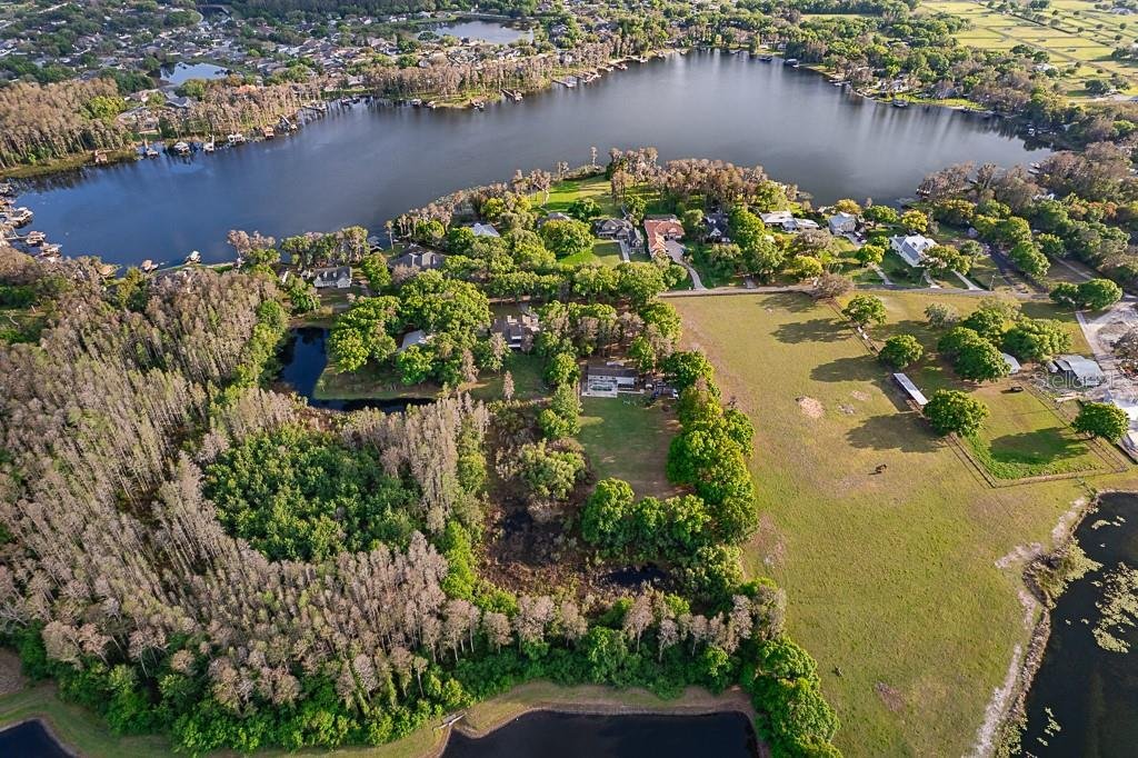 House in Odessa, Florida, United States 2 - 17823513