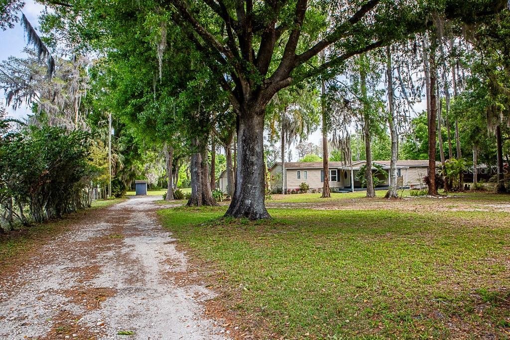 House in Odessa, Florida, United States 1 - 17823513