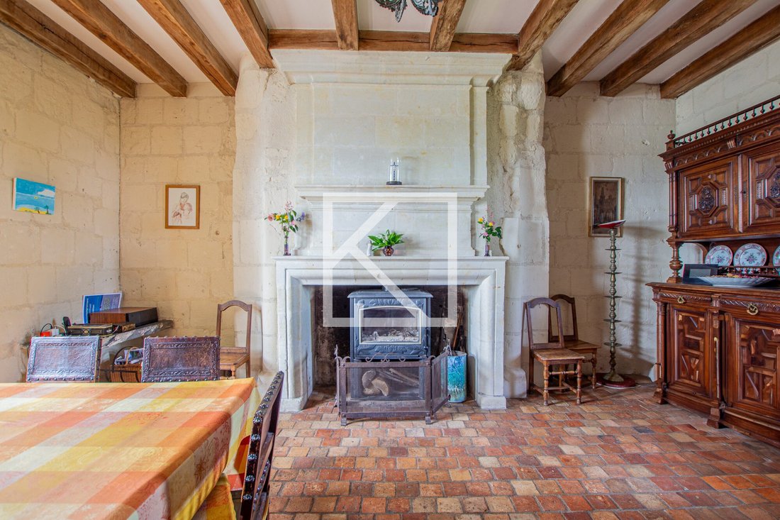Manor For Sale, 7 Rooms Loire Authion 49250