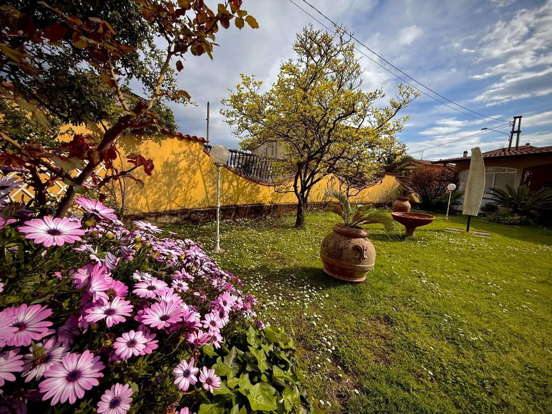Villa in Fontia-Fossola-Fossone, Marina di Carrara, Tuscany 4 - 17822102