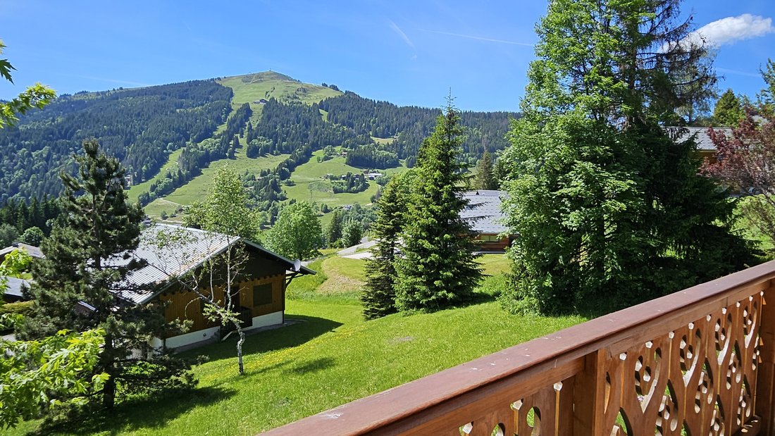 House in Les Gets, Auvergne-Rhône-Alpes, France 3 - 16865597