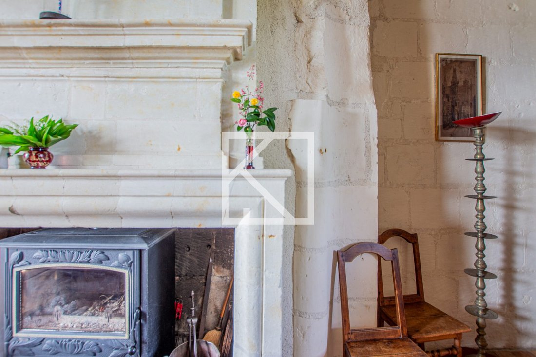 Manor For Sale, 7 Rooms Loire Authion 49250