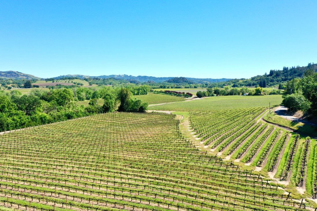 House in Healdsburg, California, United States 5 - 17828155