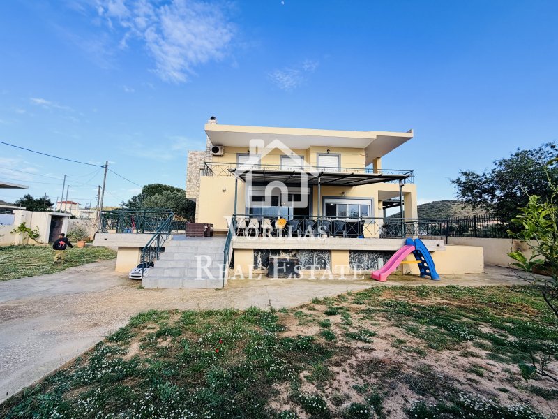 House in Palea Fokea, Attica, Greece 5 - 17331323