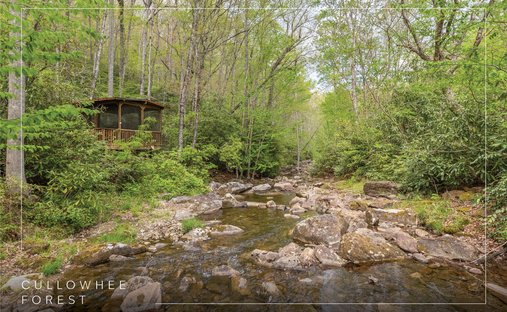 Casa en Cullowhee, Carolina del Norte, Estados Unidos 1