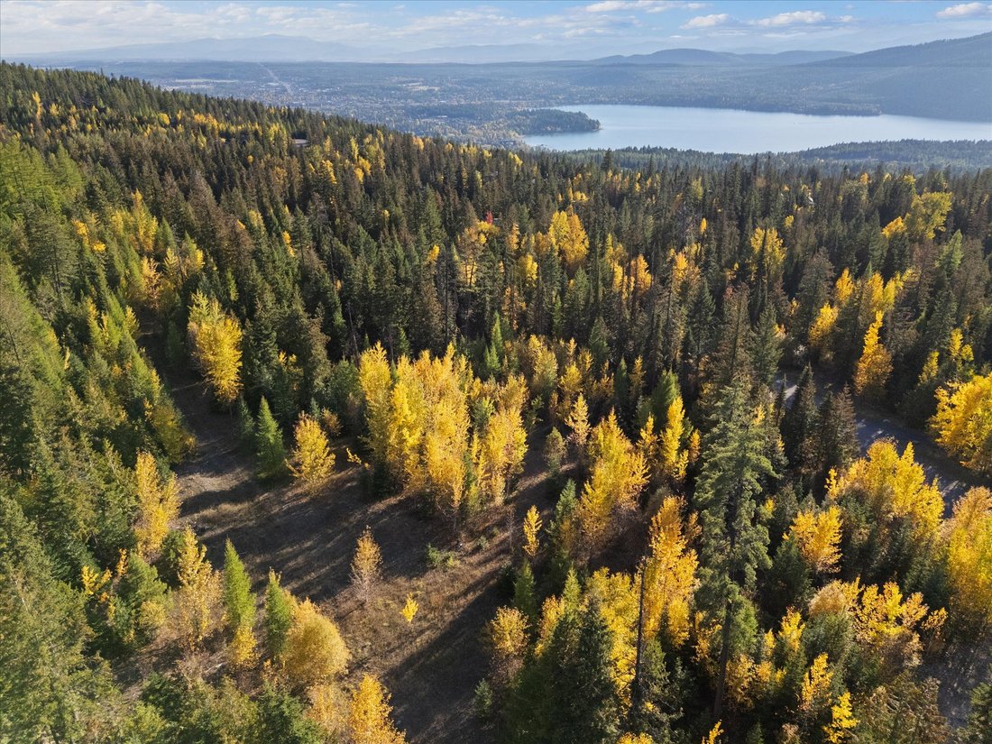 Land in Whitefish, Montana, United States 4 - 16400853