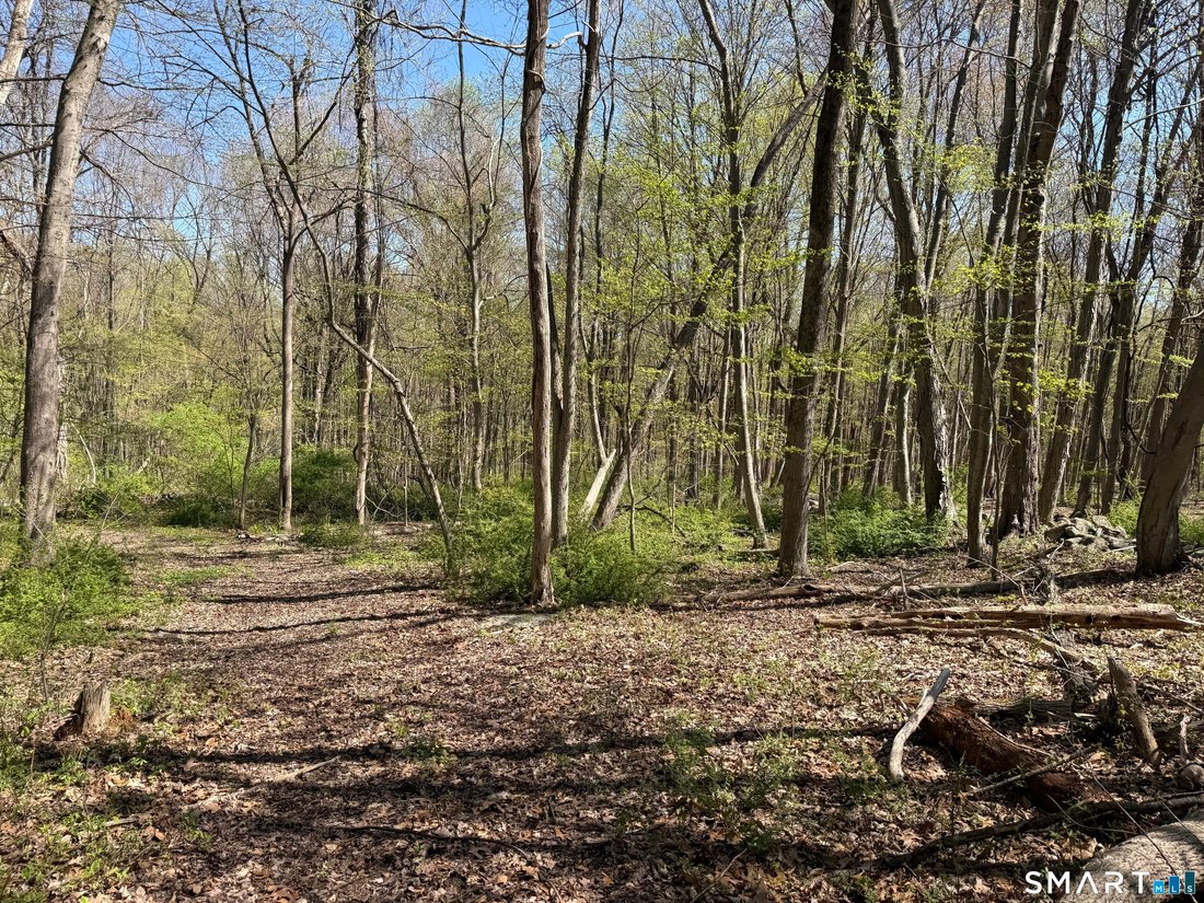 House in Danbury, Connecticut, United States 5 - 17826609