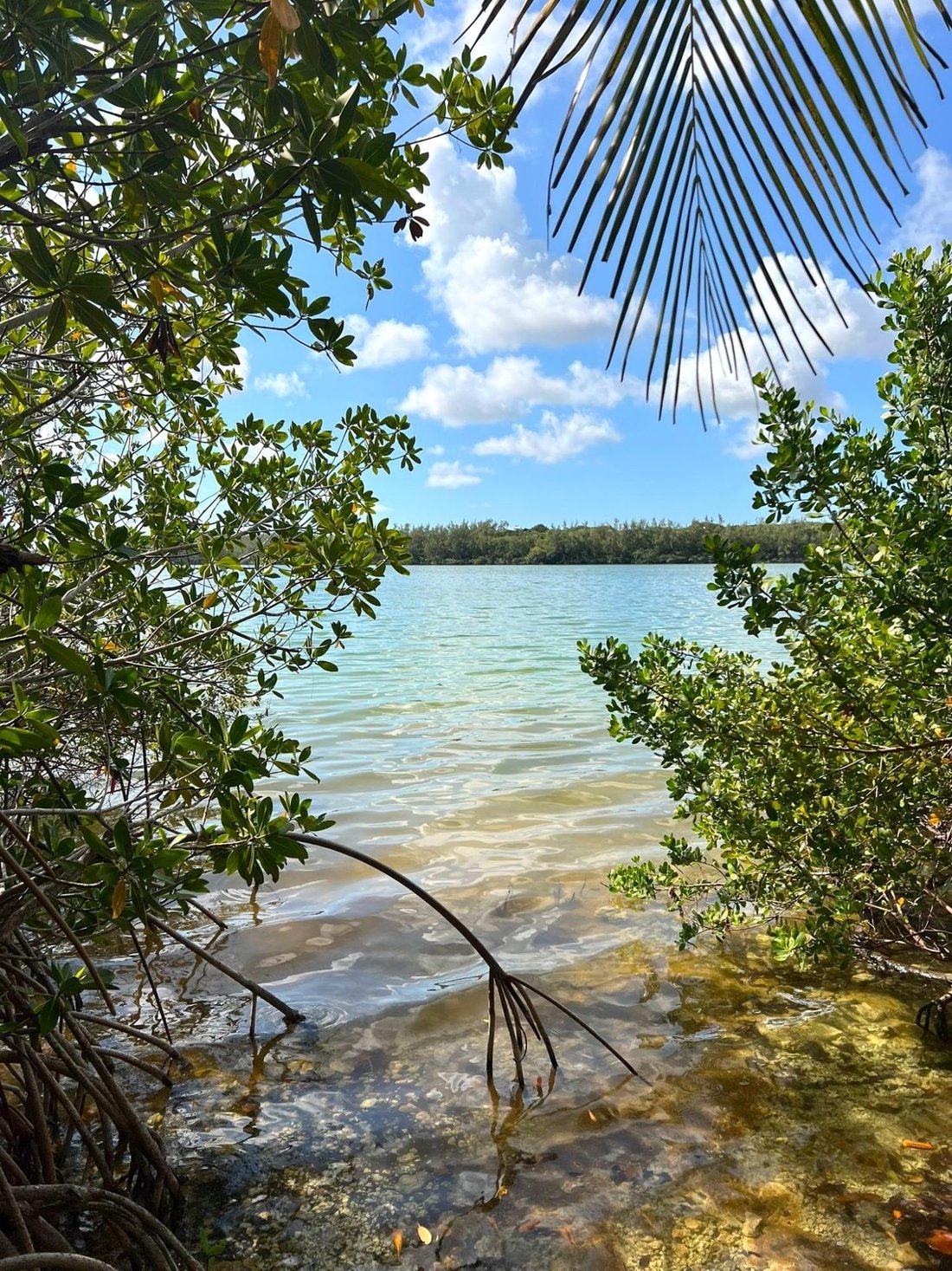 Land in Nassau, New Providence, The Bahamas 2 - 17830504