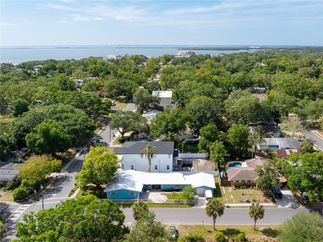 House in Safety Harbor, Florida, United States 3 - 17816900