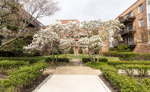 appartement à Evanston, Illinois, États-Unis 1
