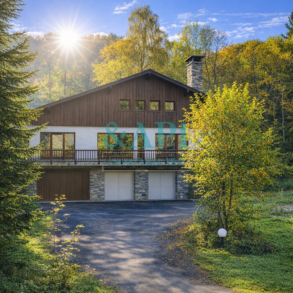 House in Neuvecelle, Auvergne-Rhône-Alpes, France 1 - 16497322
