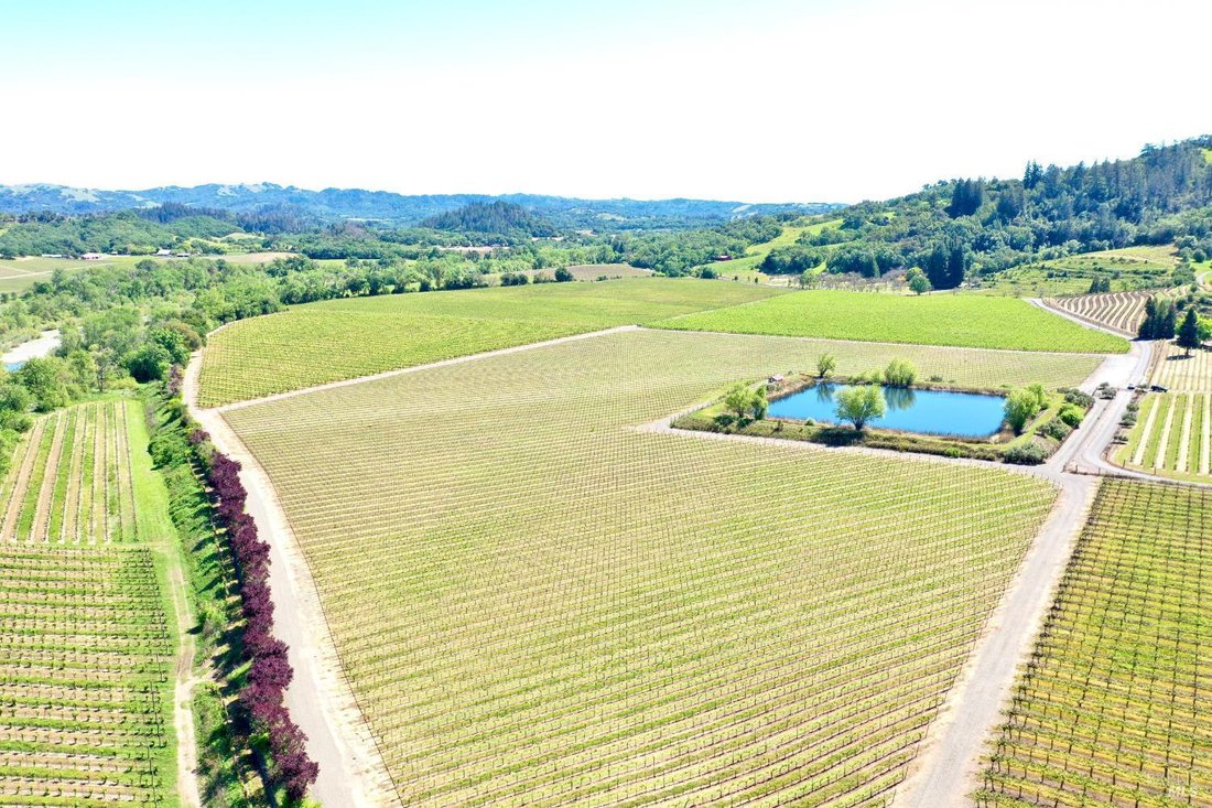 House in Healdsburg, California, United States 4 - 17828155