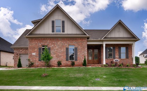 House in Madison, Alabama, United States 1