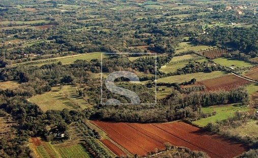 Land in Liznjan, Istria County, Croatia 1