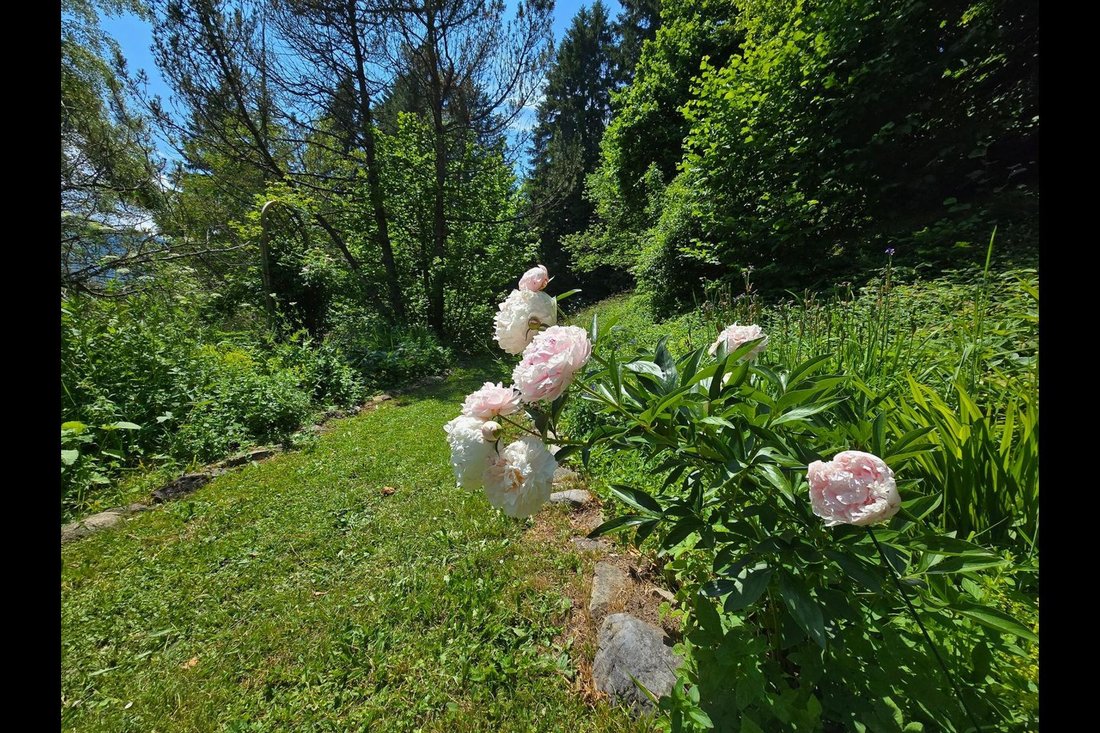 House in Gryon, Vaud, Switzerland 5 - 15075053