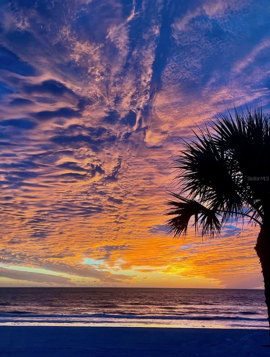 House in Madeira Beach, Florida, United States 3 - 17823493