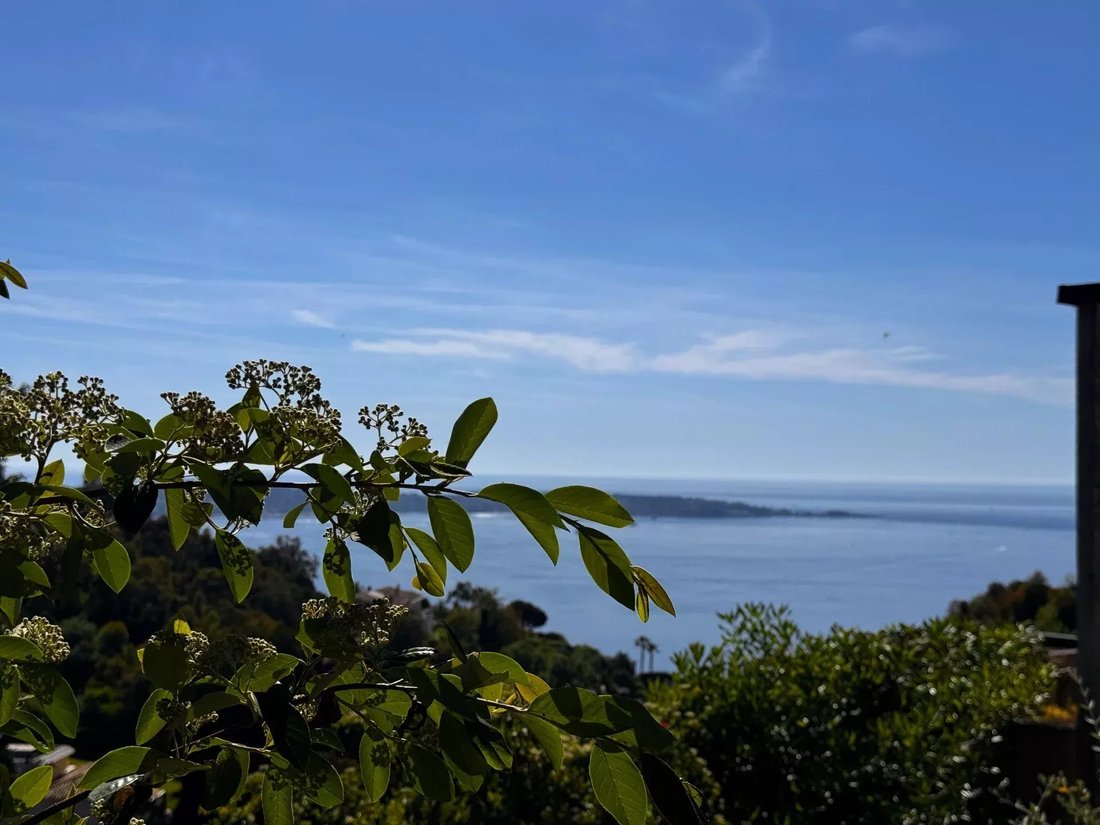 Estate in La Maure-Super Cannes, Vallauris, France 1 - 15565123