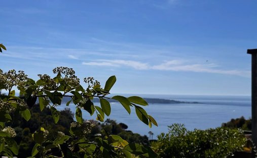 Estate in La Maure-Super Cannes, Vallauris, France 1